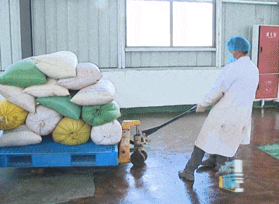 西藏企鵝糧油機械設備案例之墨竹工卡縣小油菜榨油廠項目(圖3)