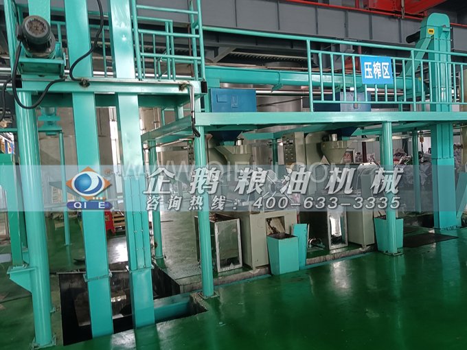 企鵝牌核桃油榨油設備，生產(chǎn)綠色健康油受大眾喜愛(圖4)